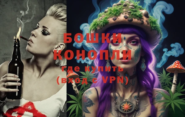 индика Белоозёрский
