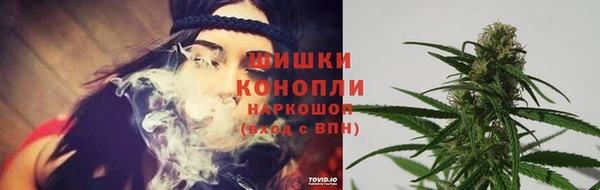 круглые Белокуриха