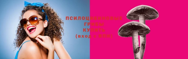 индика Белоозёрский