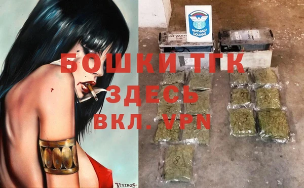 индика Белоозёрский