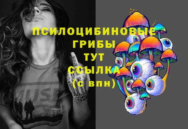 индика Белоозёрский