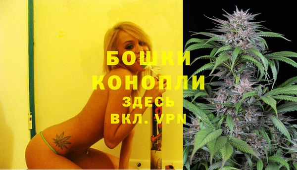 индика Белоозёрский