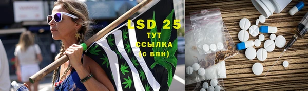 индика Белоозёрский