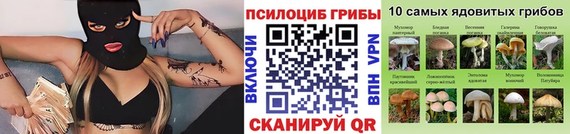 Галлюциногенные грибы MAGIC MUSHROOMS  Бугульма 
