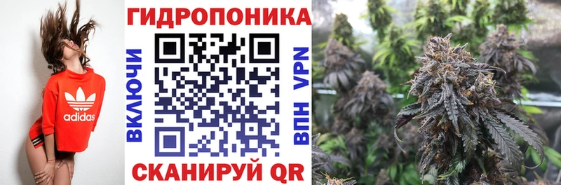 где найти наркотики  ОМГ ОМГ как зайти  Каннабис MAZAR  Бугульма 